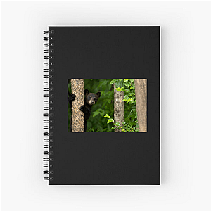 The Americas Unfold The Americas Notebook