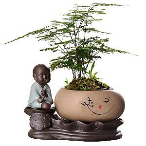 Buddha flower pot  Meditation Flagship BW1901