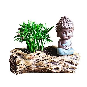 Buddha flower pot  Tree trunk Flagship BW1901