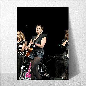 The Chicks Beyond The Norm The Chicks Posters