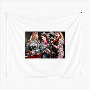 The Chicks No Fences Just Music The Chicks Tapestries