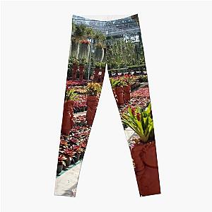 Visit the garden Leggings