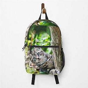 Super cute kitty cat in the garden says hey to you! Backpack