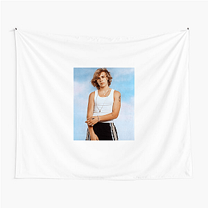 The Kid Still Hurts The Kid Laroi Tapestries