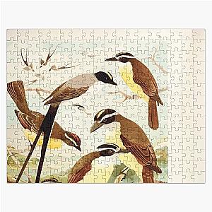 Birds of the Amazon Album de aves amazonicas Emil Goldi 1906 036 Tesoura Bemtevis Maria e dia Bemtevis miudos Jigsaw Puzzle