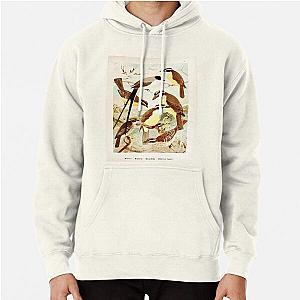 Birds of the Amazon Album de aves amazonicas Emil Goldi 1906 036 Tesoura Bemtevis Maria e dia Bemtevis miudos Pullover Hoodie