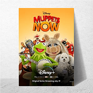 The Muppet Show Beyond The Stage The Muppet Show Posters