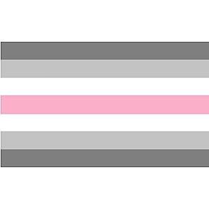 Demifem Pride Flag The Pride Store PN0503