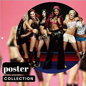 The Pussycat Dolls Posters