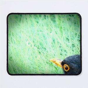 The Shining Blackbird Mouse Pad