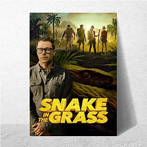 Don’t Chase the Snake – He’s Watching The Snake Posters