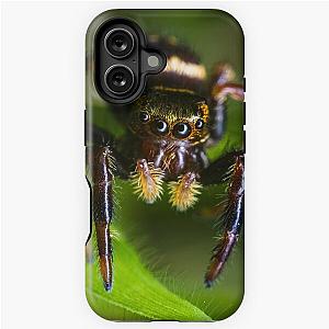 Moe Jumping Spider - Three Stooges iPhone Tough Case