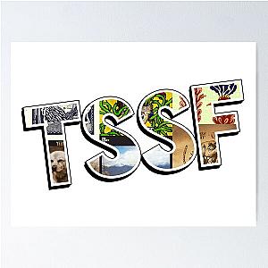 The Story So Far - TSSF All Albums Art Poster