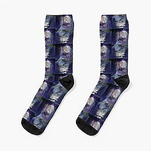 The witcher Socks