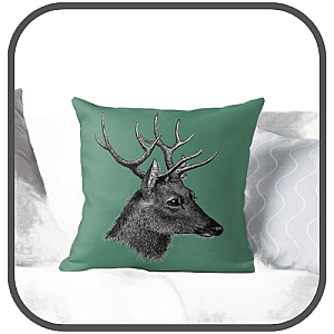 Thomas Rhett Pillows Cover
