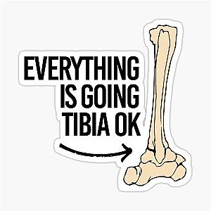 Everything is going ok Sticker