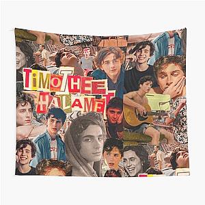 Timothée Chalamet      Tapestry