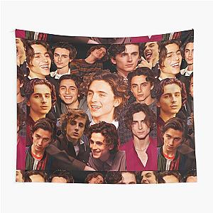 Timothée Chalamet collage poster design fan tribute Tapestry