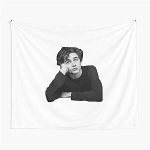 Timothée Chalamet  Tapestry