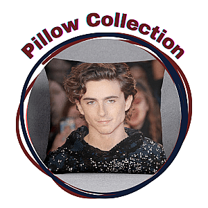 Timothee Chalamet Pillows