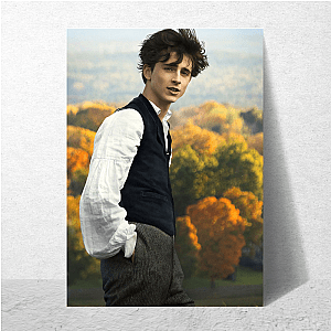 Chalamet Core Activated Timothée Posters