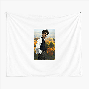 Chalamet Core Activated Timothée Tapestries