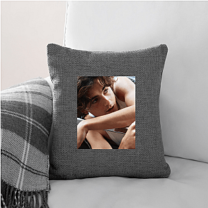 Pretty With a Plot Timothée Pillows Cover