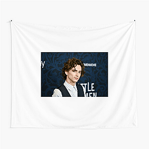 Timothée’s Era, Still Ongoing Timothée Tapestries