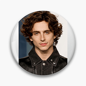 Aesthetic = Chalamet Timothée Pins
