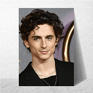 Timothée In My Dreams Timothée Posters