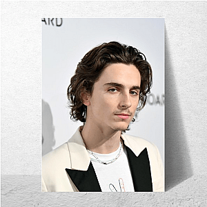 Timothée Changed Cinema Timothée Posters