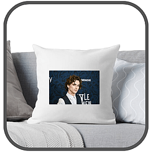 Timothée Pillows Cover