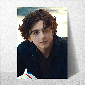 Your Crush, His Name: Timothée Timothée Posters