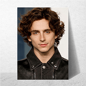Aesthetic = Chalamet Timothée Posters