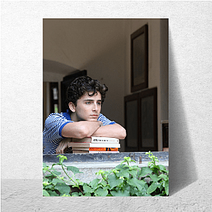 Soft Chaos, Chalamet Energy Timothée Posters