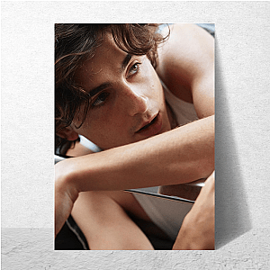 Pretty With a Plot Timothée Posters