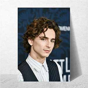 Timothée’s Era, Still Ongoing Timothée Posters