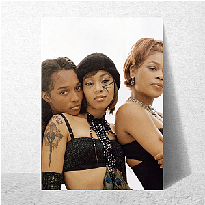 TLC Unforgettable Harmonies T L C Posters