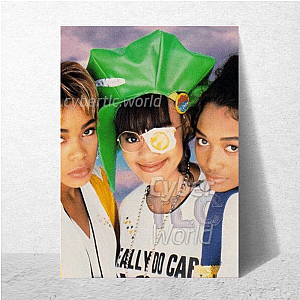 TLC The Unpretty Truth T L C Posters