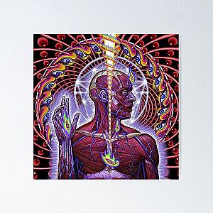 Lateralus Ænima Inoculum 10,000 Days-tool  Poster RB1911