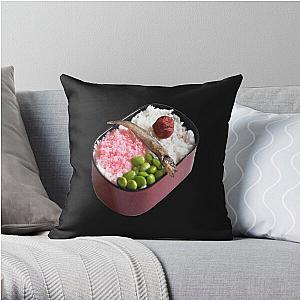 Totoro Pillows - Totoro Bento Box Throw Pillow RB2607