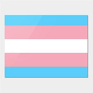 Trans Flag Posters - Transgender Flag Poster TP0812