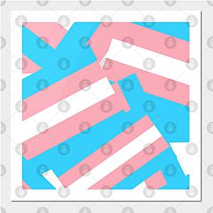 Trans Flag Posters - Transgender flags Poster TP0812