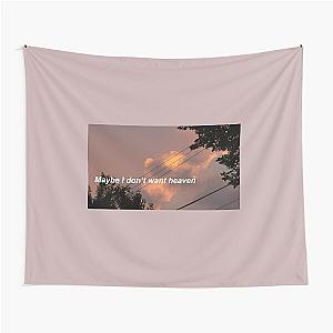 Maybe I Dont Want Heaven ~ Troye Sivan Tapestry