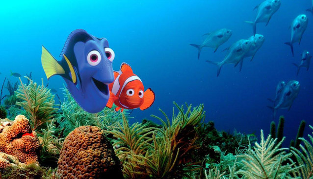 Dive into the Best Finding Nemo Merch Shop for Movie Lovers!