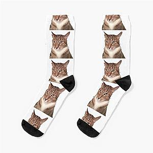 Tyga the Cat  Socks