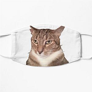 Tyga the Cat  Flat Mask