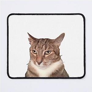 Tyga the Cat  Mouse Pad