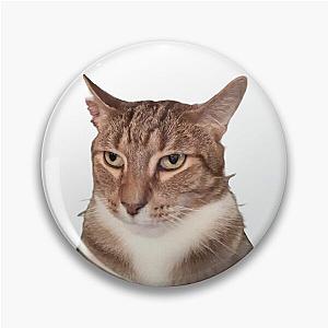 Tyga the Cat  Pin