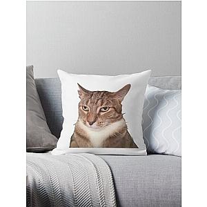 Tyga the Cat  Throw Pillow